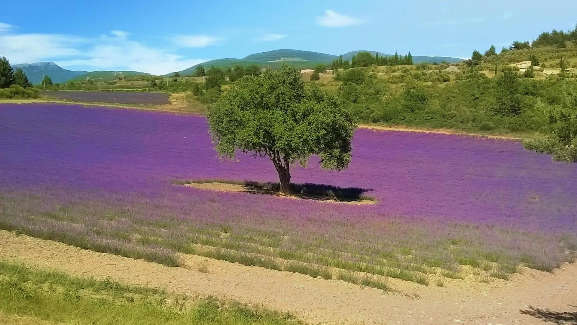 Holiday home Beautiful Home In Vaison-La-Romaine With Outdoor Swimming Pool France